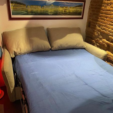 Petit Appartement Cosy Toulouse Exteriör bild
